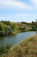 landscape with river and trees