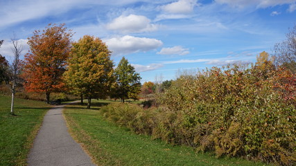 Naklejka premium Fall