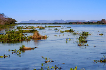 The famous Amazon River is the deepest in the world. The amazing nature of Brazil. Calm blue water