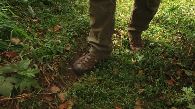 Legs of tourist man in sneakers carefully cross broken old rotten wooden bridge over forest stream