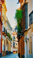Fototapeta na wymiar colorful houses in narrow street in Seville, Spain