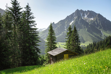 Fototapeta na wymiar Berglandschaft im Montafon, Vorarlberg, Österreich