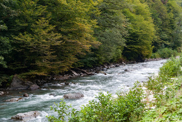 mountain fast bubbling river, river flow