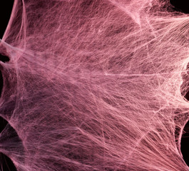Obraz premium stretched white web with red backlight, background for the holiday Halloween