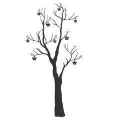 Silhouette of a rowan tree with berries.