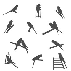 Set of silhouettes of birds
