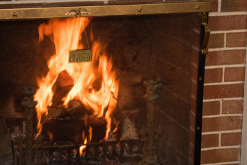 Obraz premium fire in the fireplace
