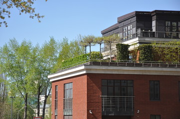 individual green recreation area on the roof of a multistory building.