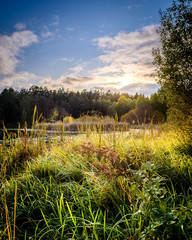 landscape with lake and forest
