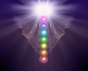 Angelic Sacred Healing Chakras - Golden shimmering Angel wings with bright white orb above and seven chakras floating between against a dark coloured  background  - obrazy, fototapety, plakaty