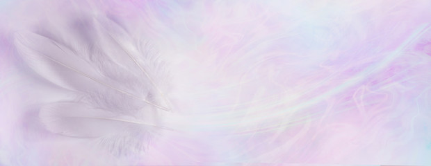 Delicate ethereal triple white feather background banner - three long white bird feathers on left...