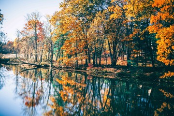 New England Autumn Landscape With River and Trees