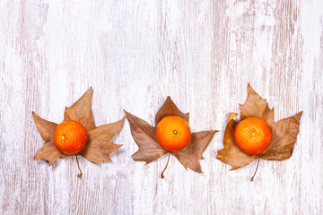 MANDARINES ON TREE LEAVES AND LIGHT WOOD FUND. AUTUMN FRUIT