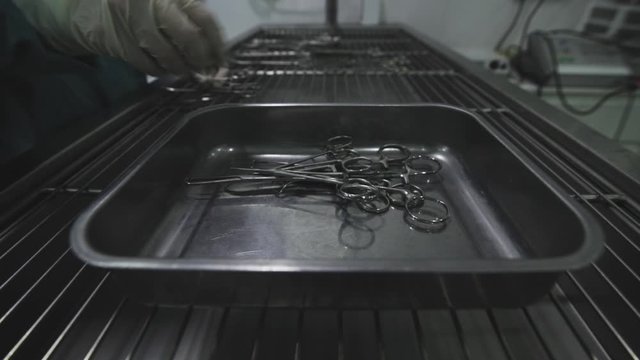 veterinarian surgeon collecting surgical material after an operation of an animal