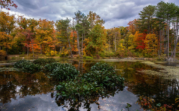 Wonderful Autumn Colors at the Lake