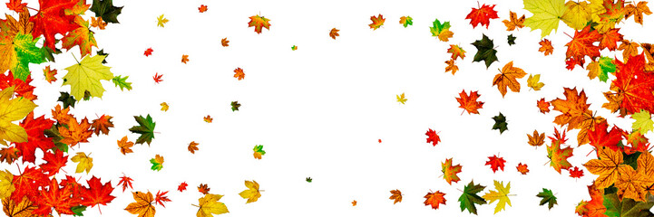 Obraz premium Autumn background. Falling October leaves isolated on white. Season concept