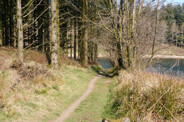 a path leads through trees along the shore of Wistlandpound Reservoir, Exmoor National Park, Somerset