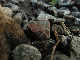 rock