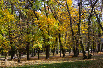 Fototapeta na wymiar autumn park,city autumn park and people relaxing