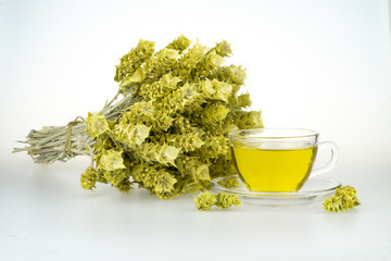 Bunch of mountain tea Malotira and mug with hot tea. Greek traditional herbal tea in transparent cup. Mountain tea sideritis. Natural Greek herbs.