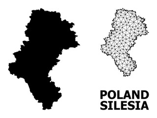 Solid and Network Map of Silesia Province