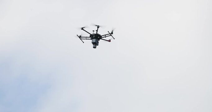 Application of trichogramma by drone for controlling the european corn borer