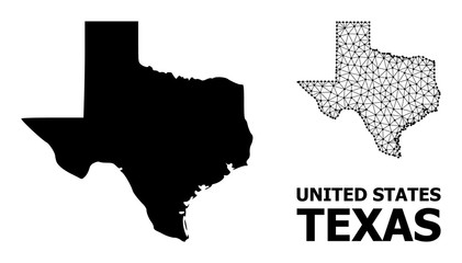 Solid and Wire Frame Map of Texas State