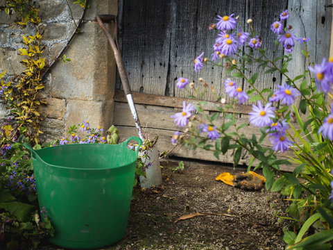 Garden tools abandoned by a door