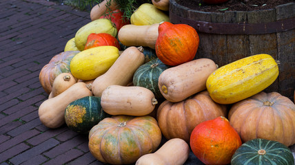 Different Types and Colors of Pumpkins on the Street before Halloween
