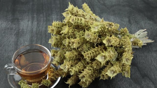 Bunch of mountain tea Malotira and mug with warm tea. Greek traditional herbs. Greek mountain tea with transparent cup on wooden background. Tsai vounou natural herbal tea.