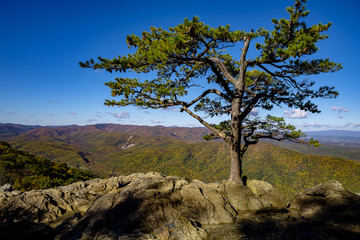 Blue Ridge Mountains