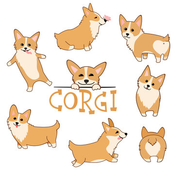 Cute Welsh Corgi puppy set. Funny dogs vector illustration in cartoon style