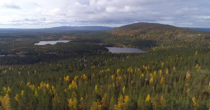 Autumn color, Aerial, tracking, drone shot, over fall, foliage trees, overlooking Katkatunturi, Immeljarvi and arctic wilderness, on a autumn day, on the top of Levitunturi, in Levi, Lapland, Finland