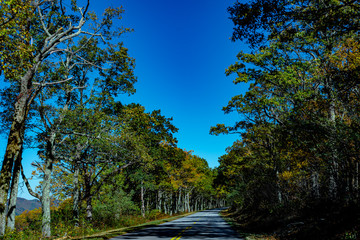 Blue Ridge Mountains