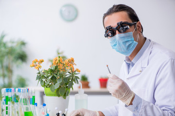 Young male chemist working in the lab