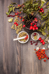 Halloween concept background. Witch bowler, mistletoe, elderberry. Dry herbs, flowers, fresh berries