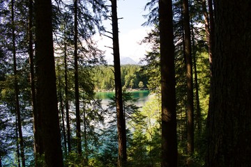 Break in tree line with lake in view