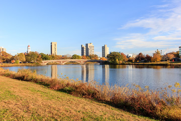 Charles River at Harvard