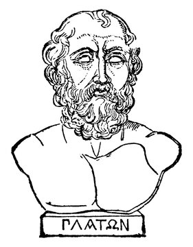 Bust Of Plato, Vintage Illustration