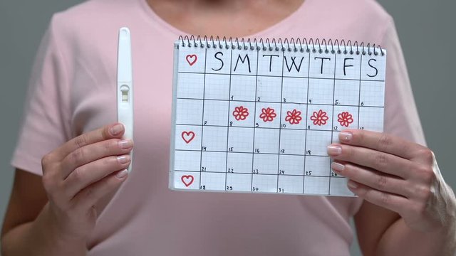 Woman showing pregnancy test and period calendar at camera, pregnancy attempt