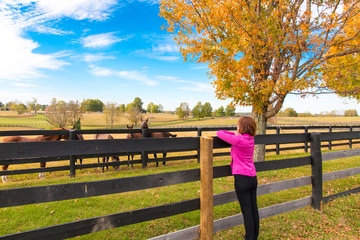 Woman enjoying countryside view with horses in autumn season.