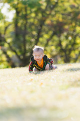 秋の公園でハイハイをする赤ちゃん