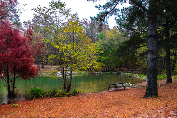 Beautiful autumn season in the park