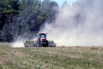 Fototapeta premium farmer's tractor harvesting peanuts
