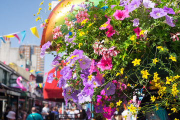 Colorful floral decoration on the streets in Brighton, England during the week of Pride.