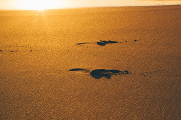 Obraz premium footprints in the sand at sunrise