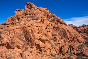 Fototapeta premium Valley of Fire State Park, NV