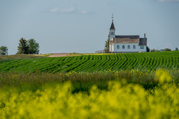 The historic Zion Lutheran Church and graveyard near Kyle, Saskatchewan with a canola field and lentil field in the foreground