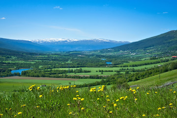 Fototapeta na wymiar Beautiful farm valley landscape with a flowing river, snow capped mountains and green trees and yellow flowers under a blue sky with fluffy clouds in Norway on a sunny summer day.