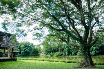 a serene view of a lake, hut and trees in Thailand